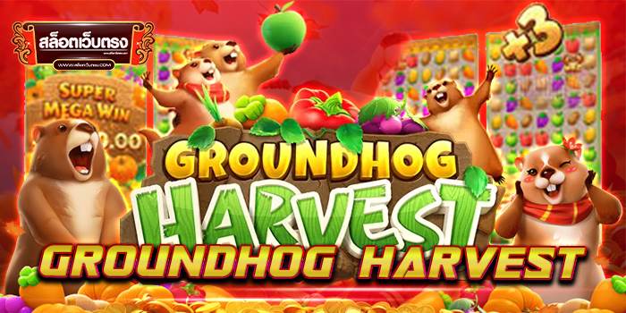 Groundhog Harvest ทดลองเล่นฟรี โบนัส แตกง่าย ฝาก-ถอนออโต้